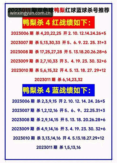 杏运体育2025新版下载，老用户为何总在第一步栽跟头？